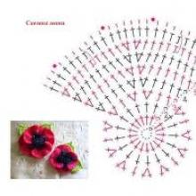 Horgolt virágok - pipacsok Horgolt mákvirág diagram és leírás